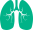 Pulmonary